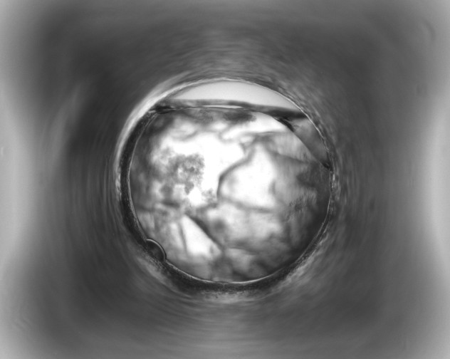 X0000085750246200704091321