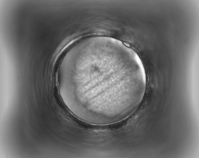 X0000085750247200704091321