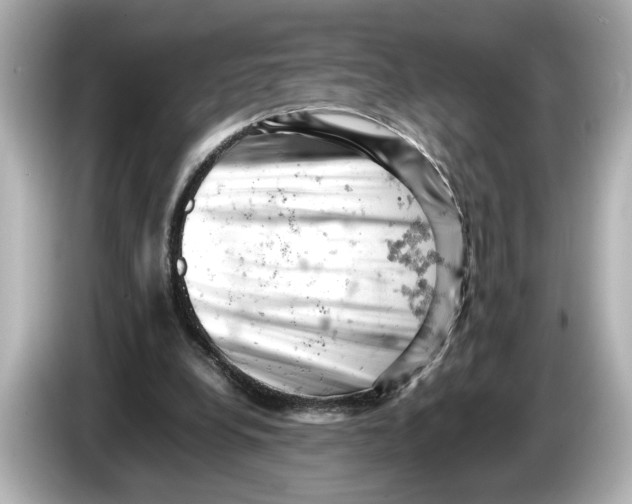 X0000085750248200704091321