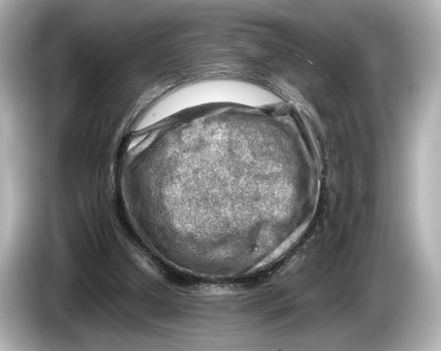 X0000085750250200704091321