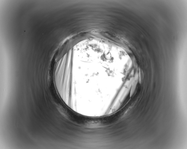 X0000085750252200704091321