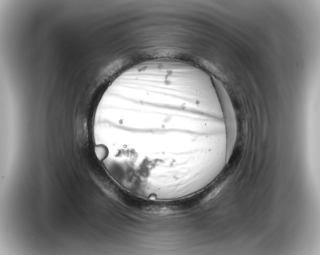 X0000085750254200704091321