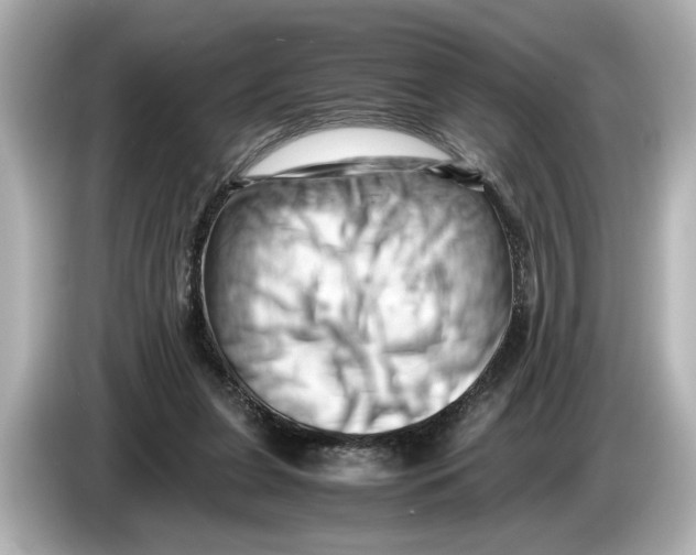 X0000085750255200704091321