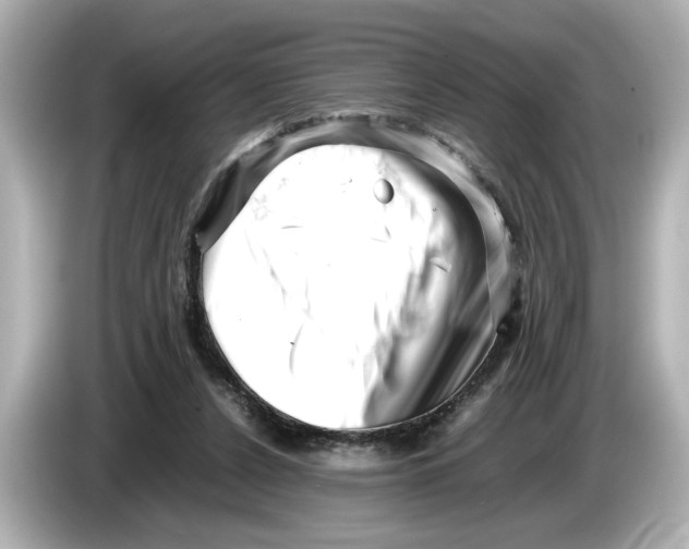 X0000085750256200704091321