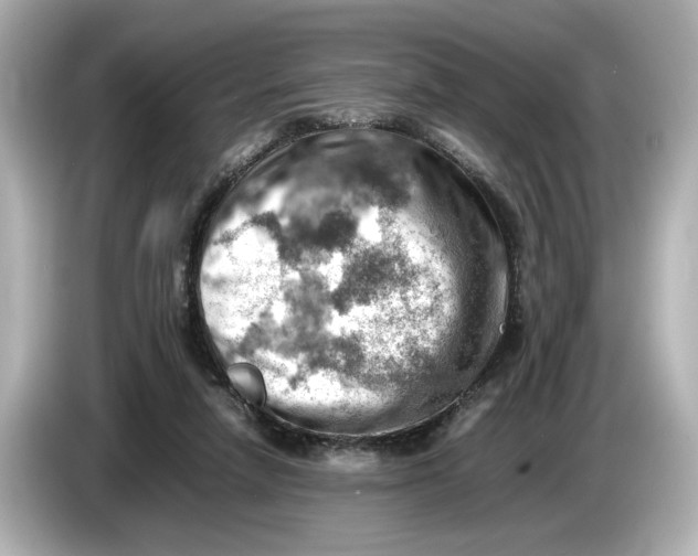 X0000085750258200704091321