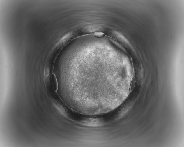 X0000085750260200704091321