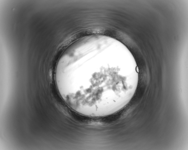 X0000085750262200704091321