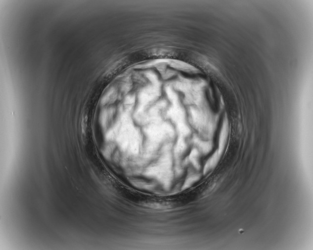 X0000085750263200704091321