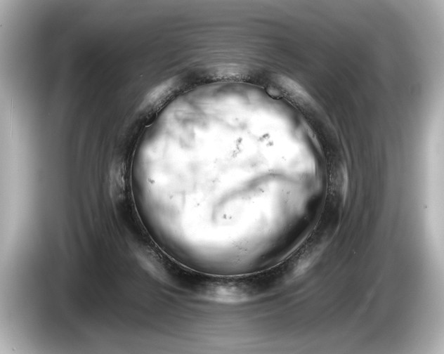 X0000085750264200704091321