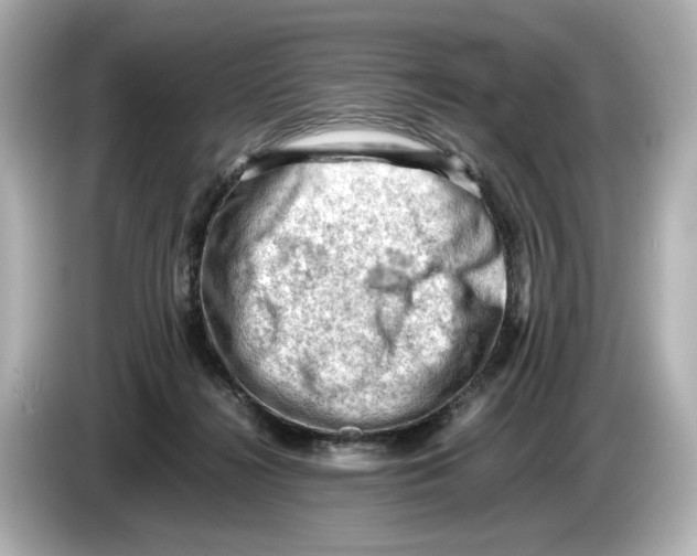 X0000085750268200704091321