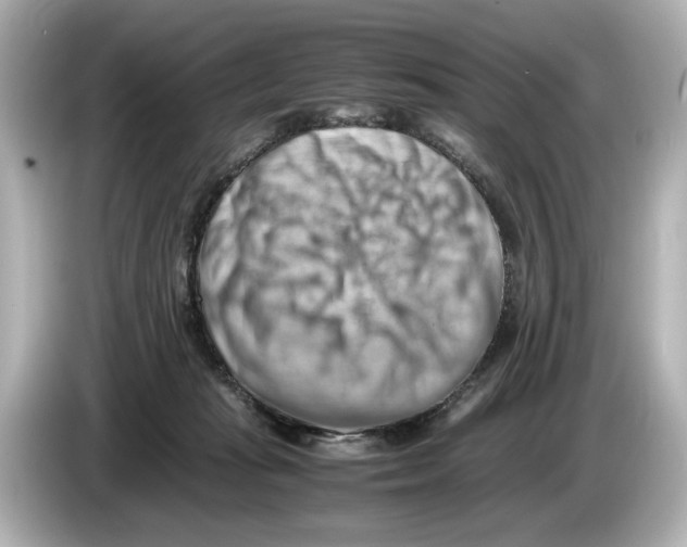 X0000085750269200704091321