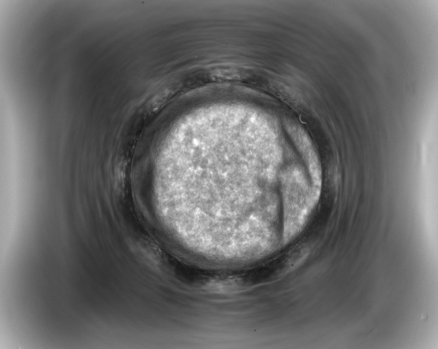 X0000085750271200704091321