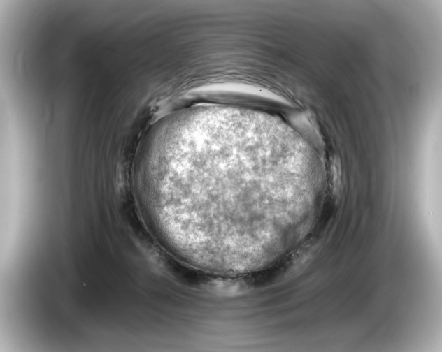 X0000085750272200704091321