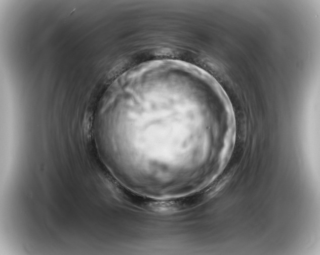 X0000085750273200704091321