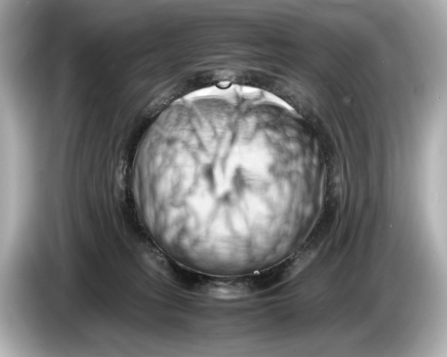 X0000085750275200704091321