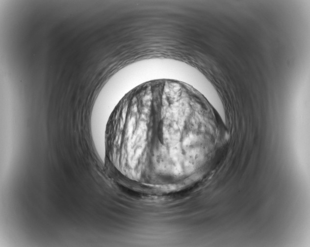 X0000085750276200704091321