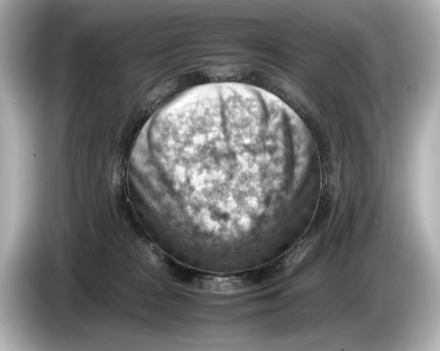 X0000085750277200704091321