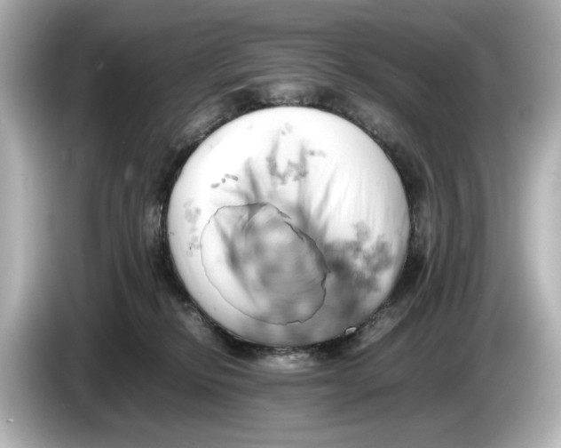 X0000085750278200704091321