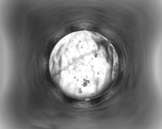 X0000085750279200704091321