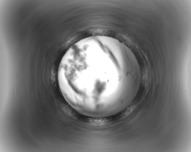 X0000085750282200704091322