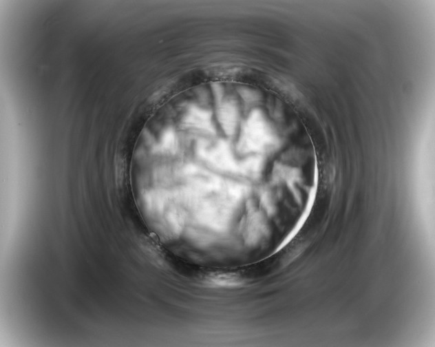 X0000085750283200704091322