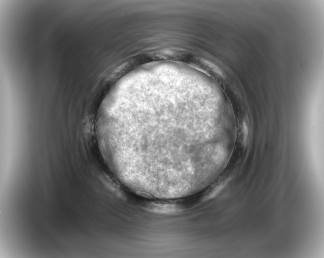 X0000085750284200704091322