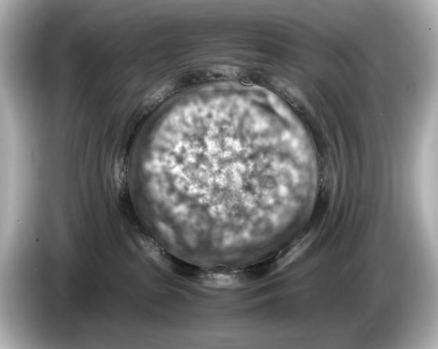 X0000085750285200704091322