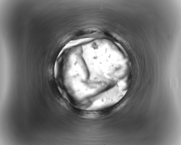 X0000085750288200704091322