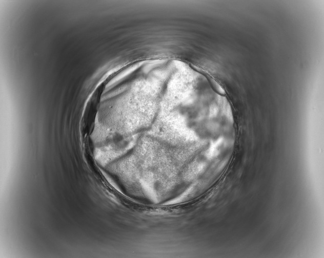 X0000085750290200704091321