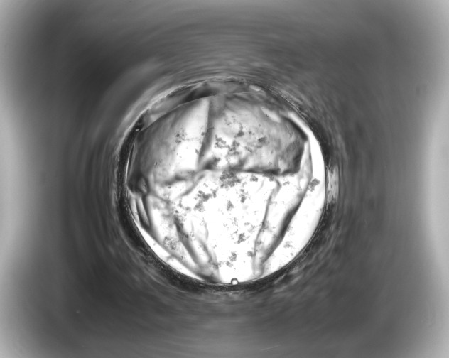 X0000085750291200704091321