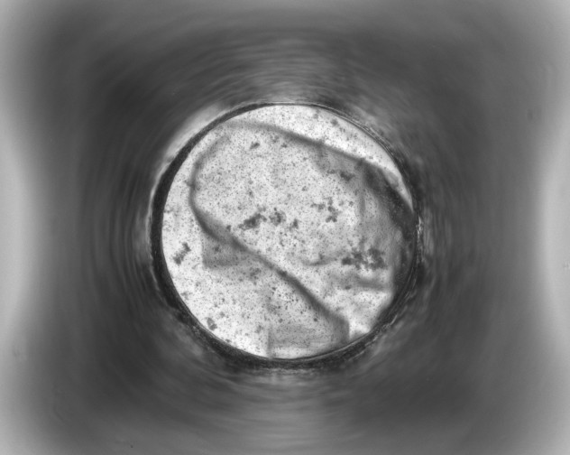 X0000085750292200704091321