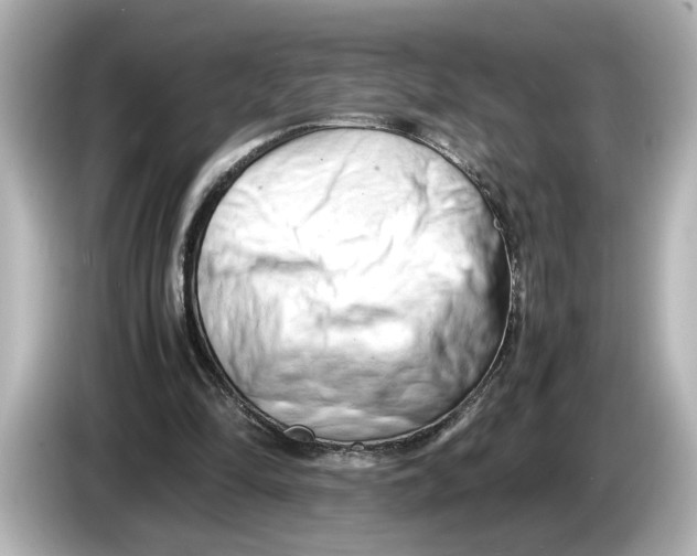 X0000085750294200704091321