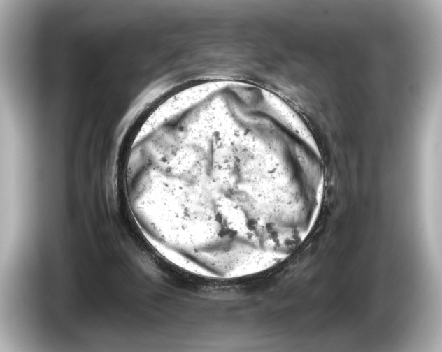 X0000085750296200704091321