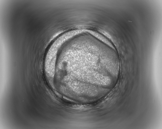 X0000085750297200704091321