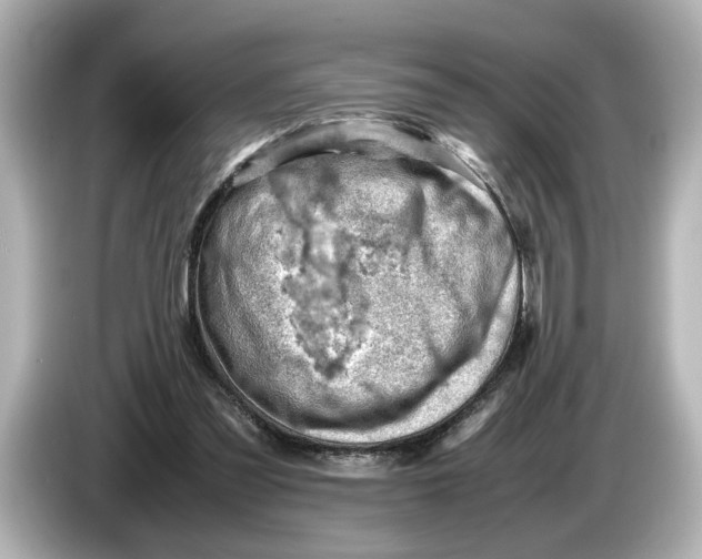 X0000085750301200704091321