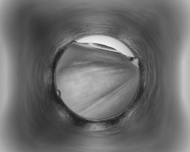 X0000085750303200704091321