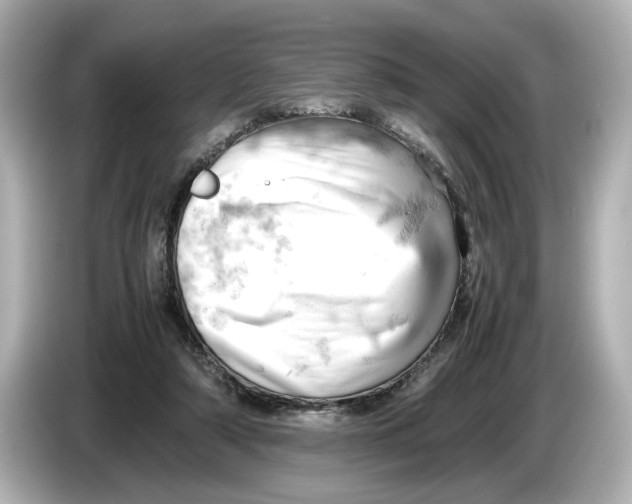 X0000085750306200704091321