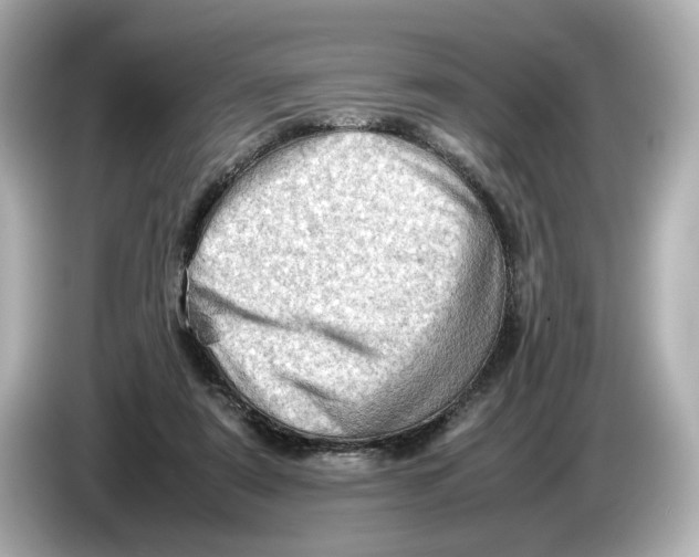 X0000085750307200704091321