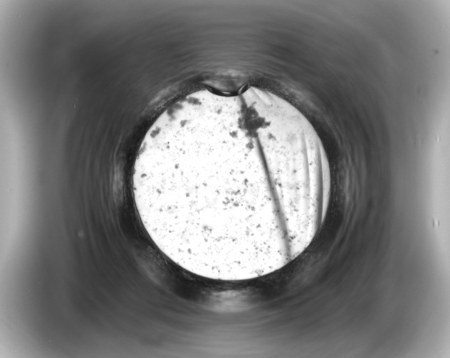 X0000085750312200704091321