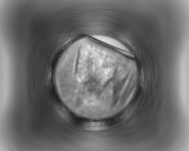 X0000085750314200704091321