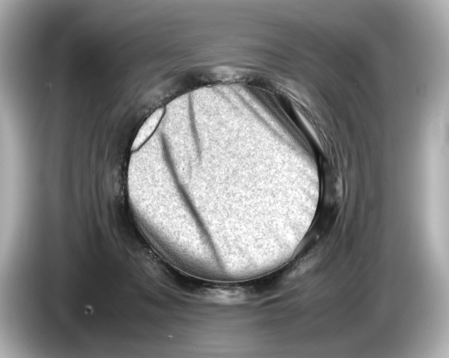 X0000085750317200704091321