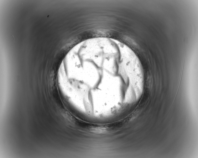 X0000085750318200704091321