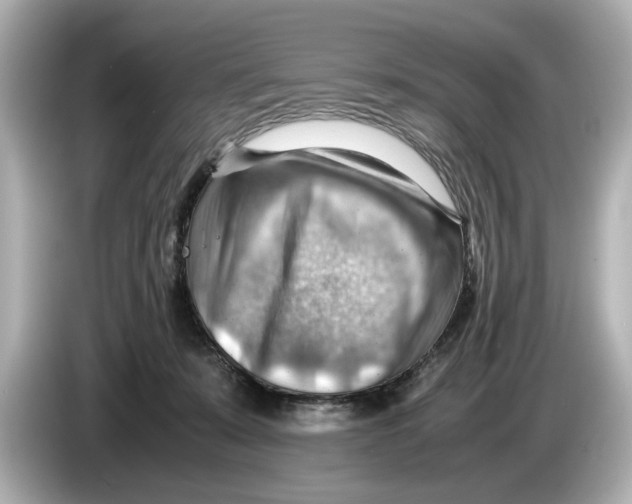 X0000085750319200704091321