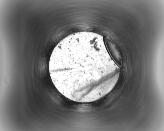 X0000085750320200704091321