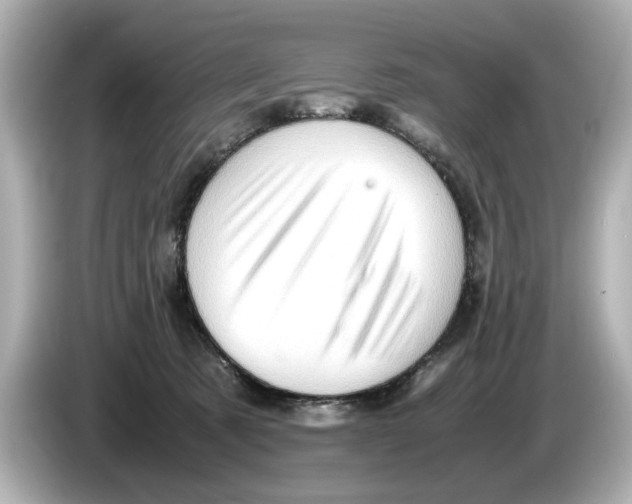 X0000085750321200704091321