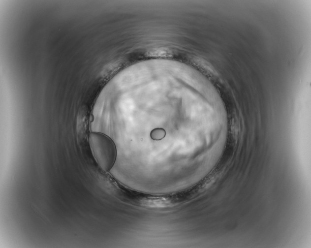 X0000085750322200704091321