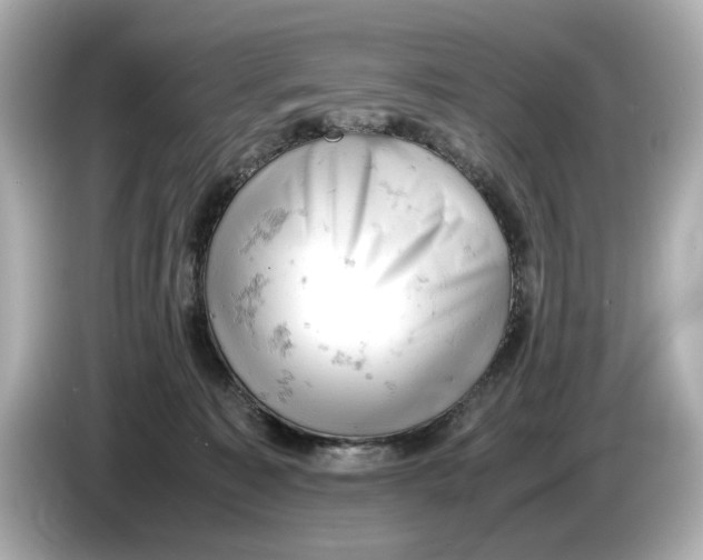 X0000085750323200704091321