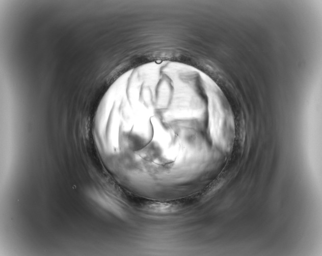 X0000085750326200704091320