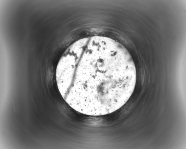 X0000085750328200704091320