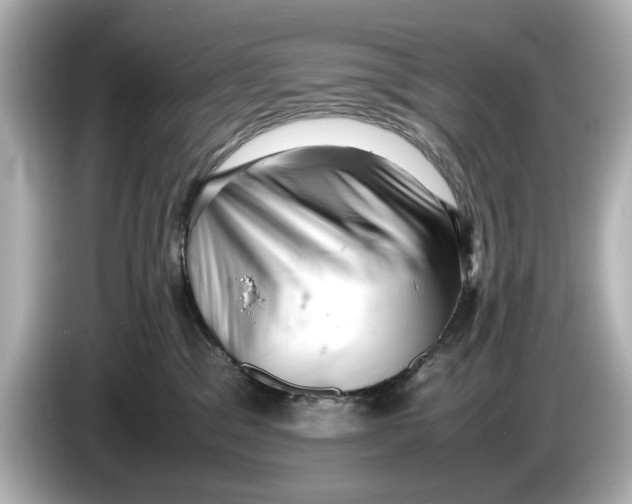 X0000085750329200704091320